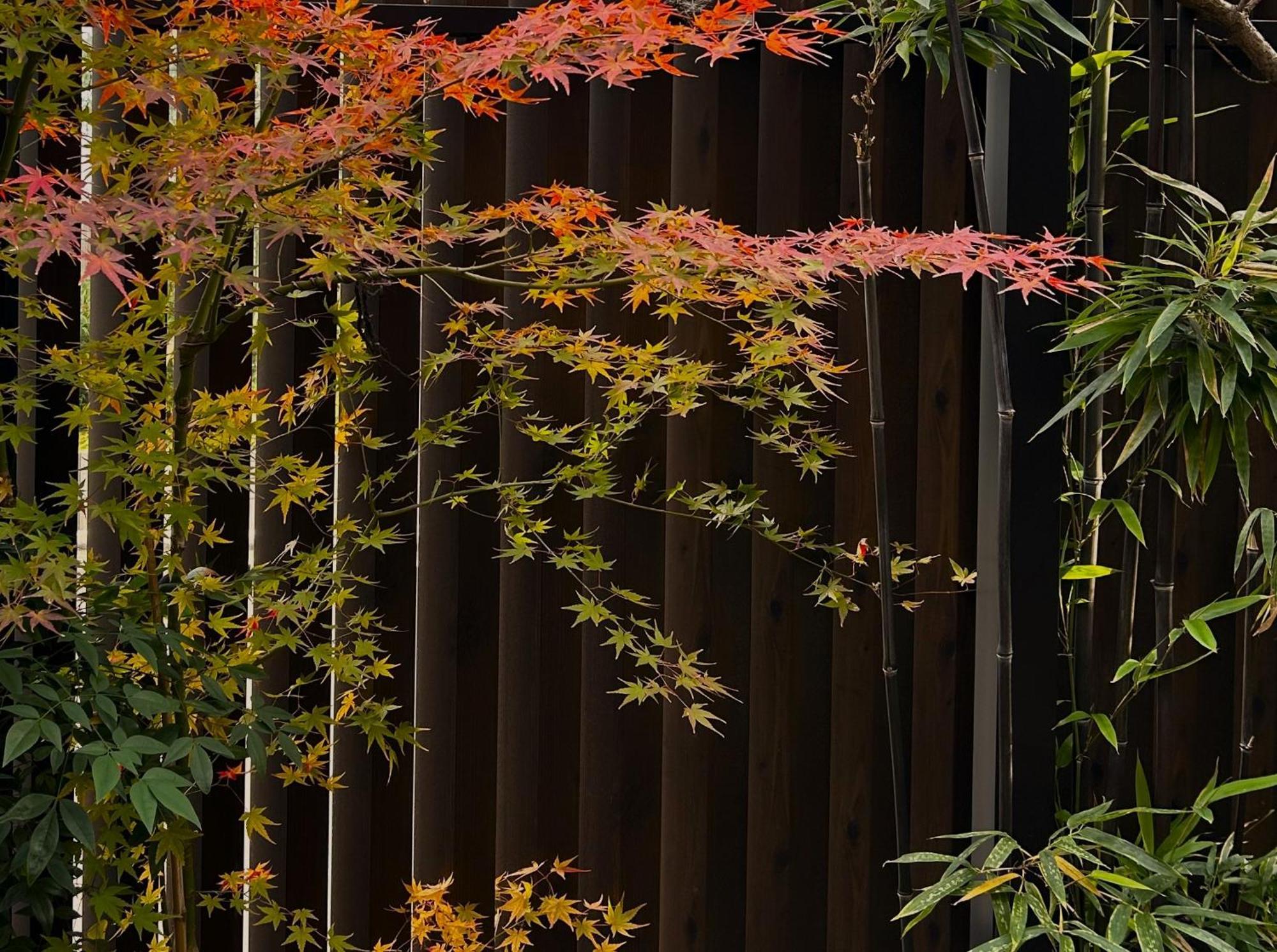 Guest House Oumi Kyoto Exteriör bild